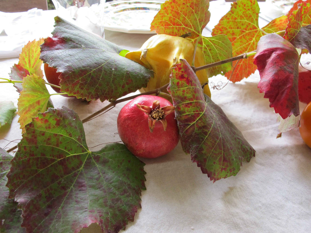 Holidays with Shoo for Good