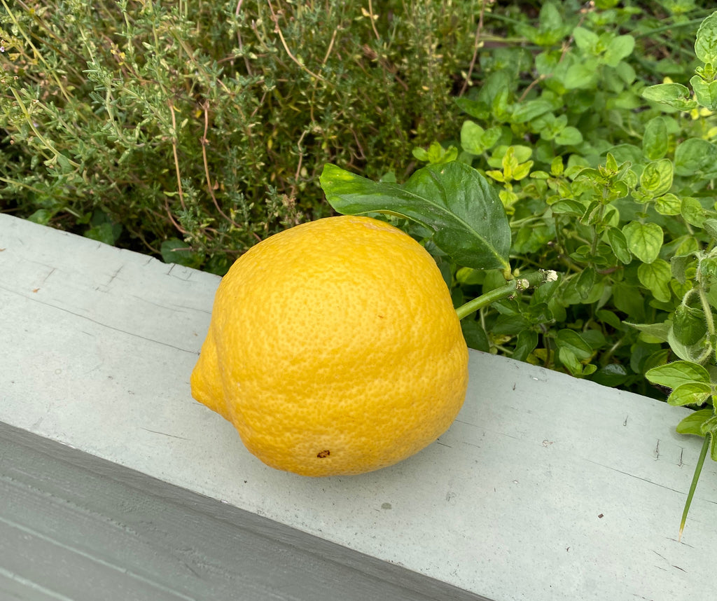 When Life Gives you Lemons...Share!