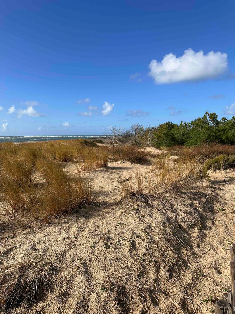 Off-Season with Shoo for Good